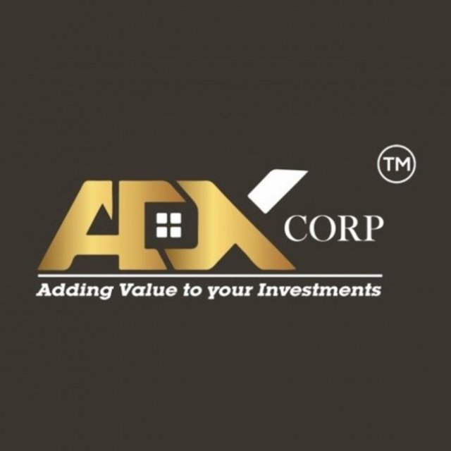 ADX CORP - Real Estate Consultant