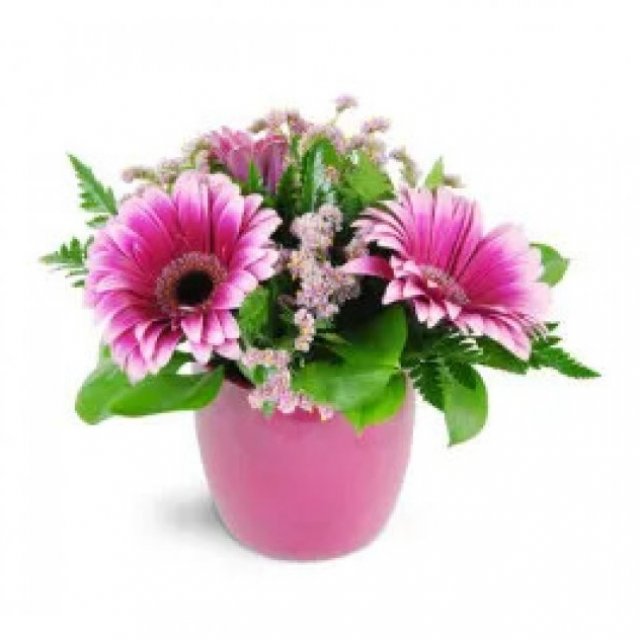 Cottage Flowers, Inc.