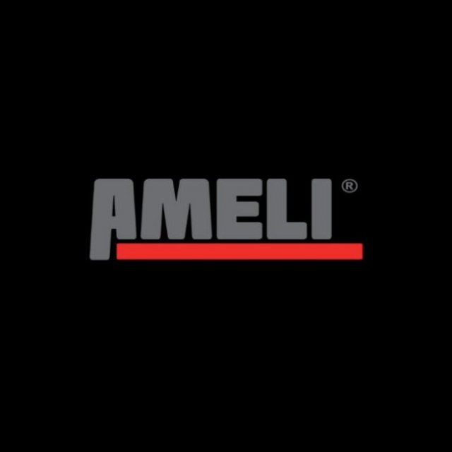 Ameli Consulting