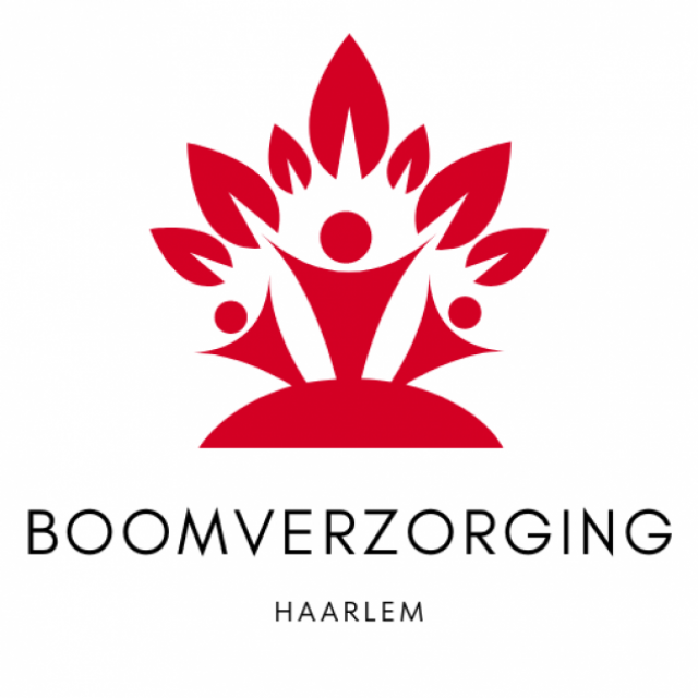 Boomverzorging Haarlem