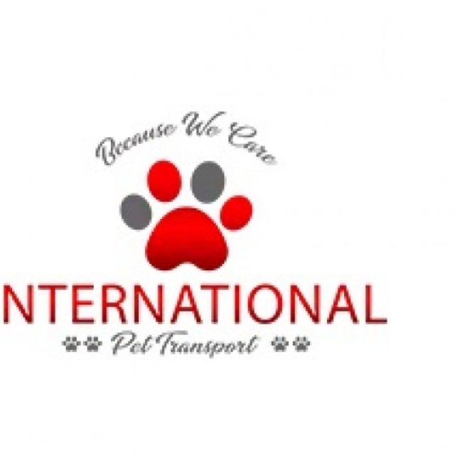 International pet travel