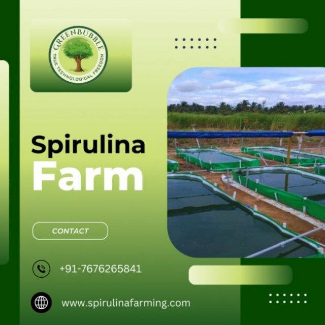 Spirulina Farming-Green Bubble Algal Works