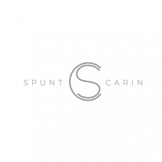 Spunt and Carin Inc.