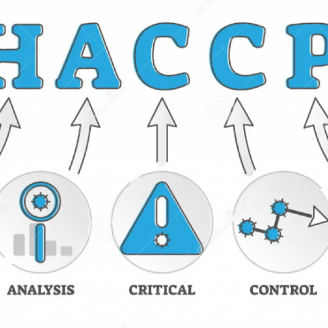 Comprehensive HACCP Certification Training