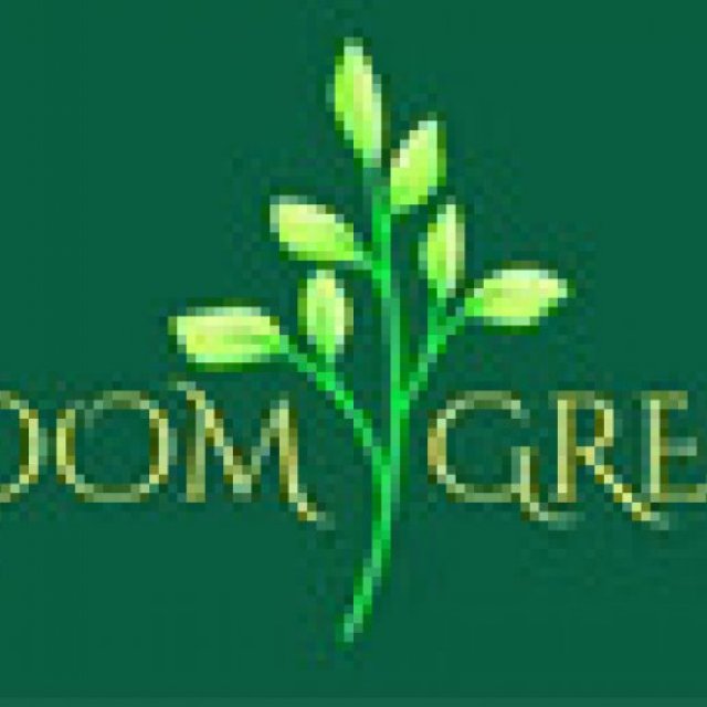 Bloom Green - Plant based Natural Air Fresheners for a Healthy Home