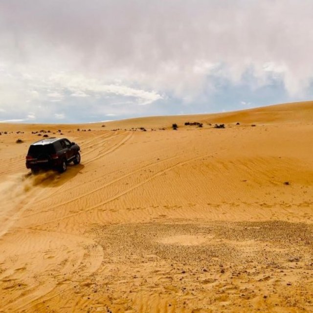 Liwa Desert Safari