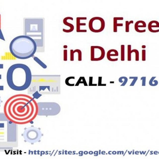 SEO Freelancer in Delhi