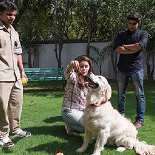 Pet Boarding Delhi | CGS Hospital Sarojini Nagar