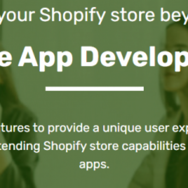 Shopify Private App Development Services