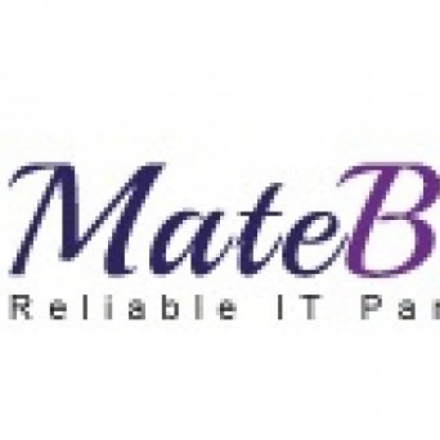 Matebiz Pvt Ltd