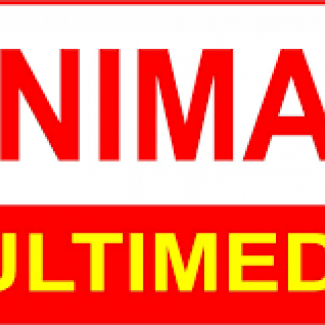 animax institute of multimedia