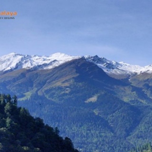 Unwind in the Majestic Mountains of Manali.