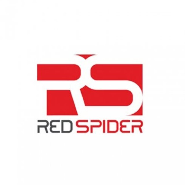 RedSpider - Web Development Company Dubai