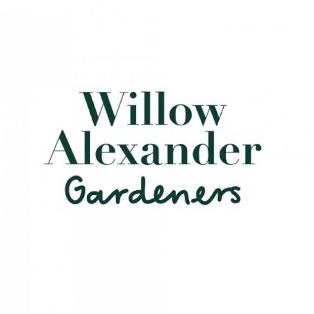 Willow Alexander Cleaners