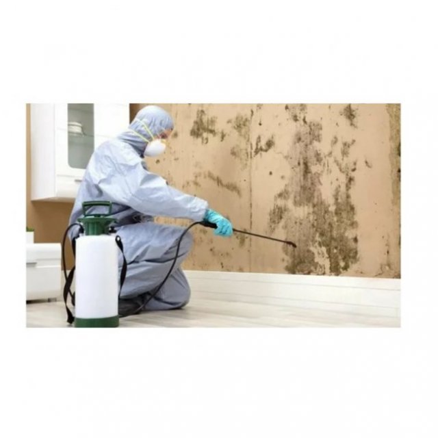 Mould Experts Townsville - Removal | Restoration | Testing