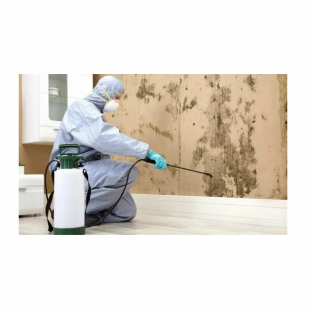 Mould Experts Canberra - Removal | Restoration | Testing