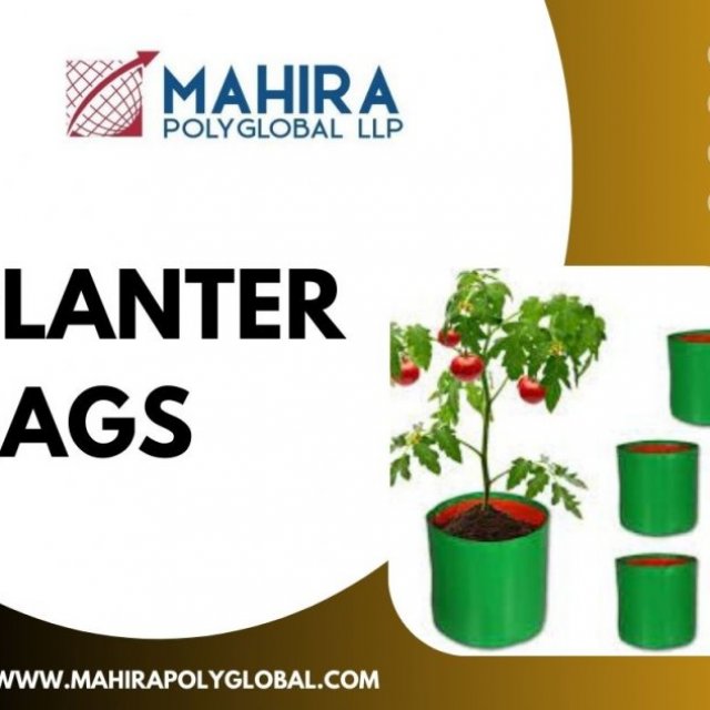 Planter Bags vs. Traditional Pots: Which is the Better Choice?