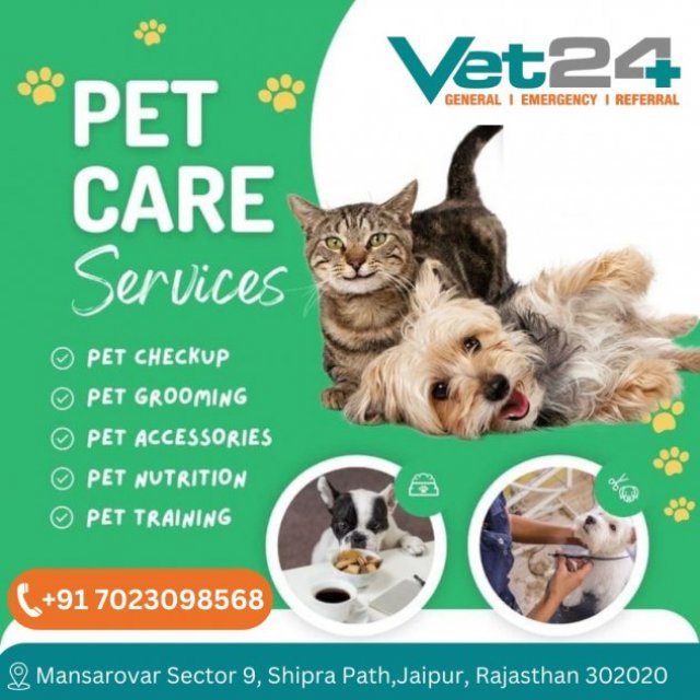 Best pet hospital- vet24