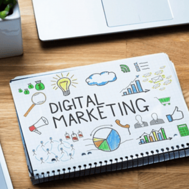 Digital Marketing Company in Delhi | Anadee Digital Solutions