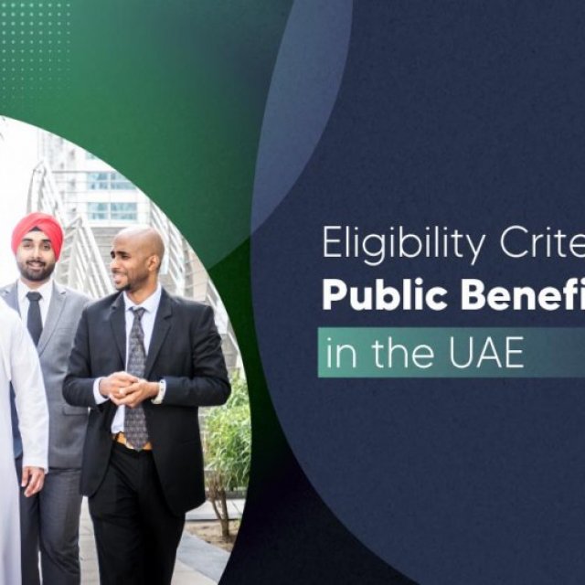 Eligibility Criteria for Public Benefit Entities in the UAE