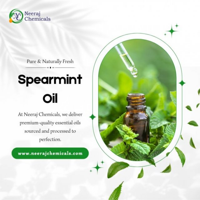 Spearmint Oil Wholesalers in Sambhal, Uttar Pradesh, India