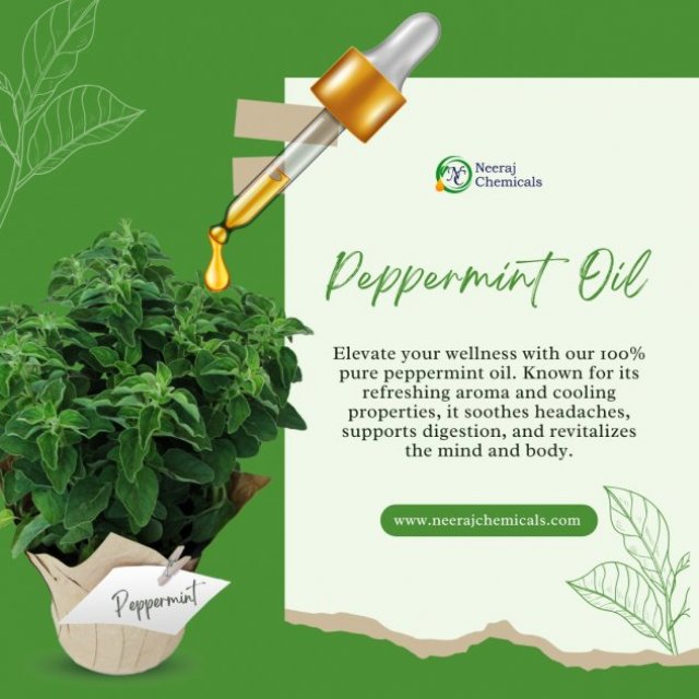 Peppermint Oil Wholesalers in Sambhal, Uttar Pradesh, India