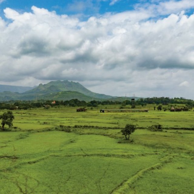 Kalpataru Aria