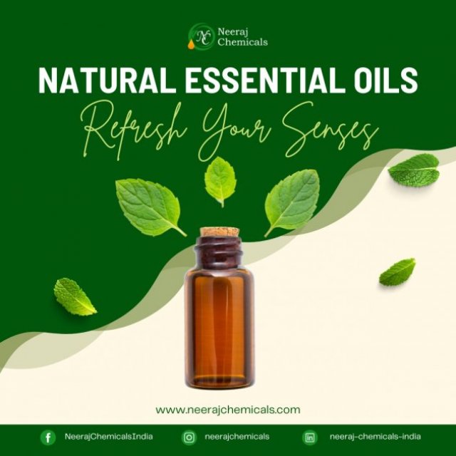 Natural Essential Oils Wholesalers in Sambhal, Uttar Pradesh, India