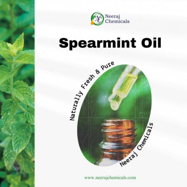 Spearmint Oil Suppliers in Sambhal, Uttar Pradesh, India