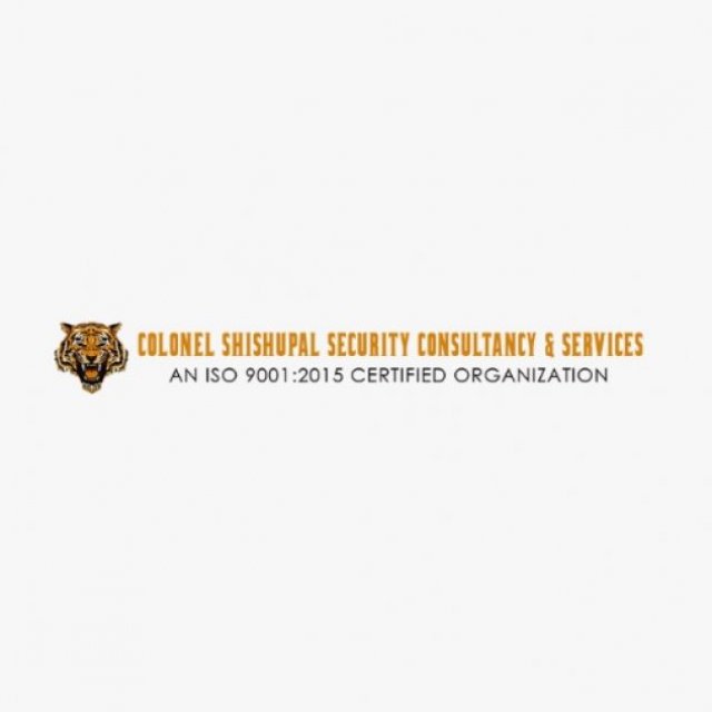 Colonel Shishupal Security Consultancy & Services