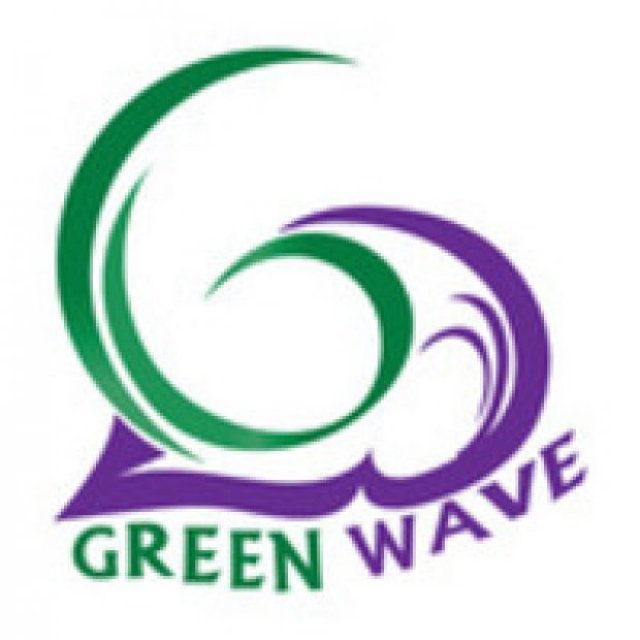 Green Wave Information Technology Network Services LLC