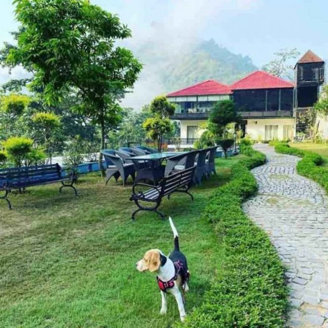 Jim Corbett Pet Friendly Resorts | Resort De Coracao