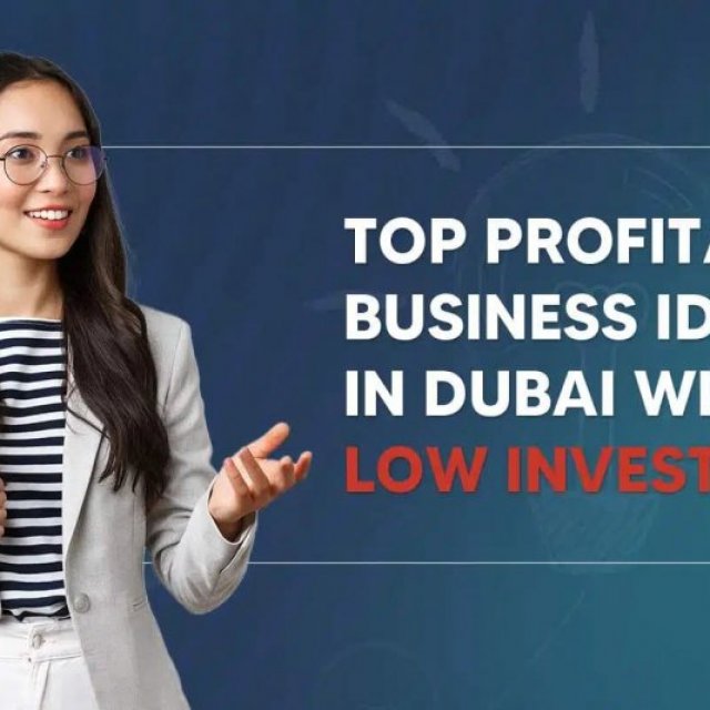 Business Ideas in Dubai with Low Investment - Shuraa