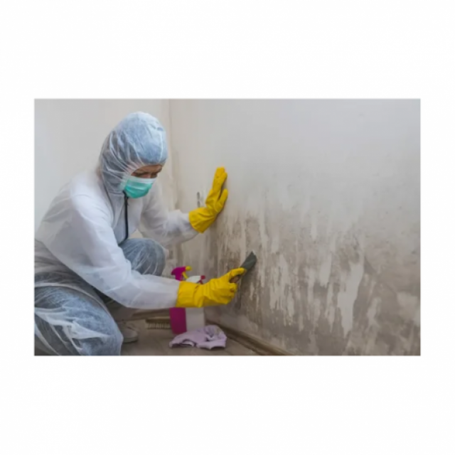 Rapid Restoration Cairns - Flood - Water - Mould | Damage