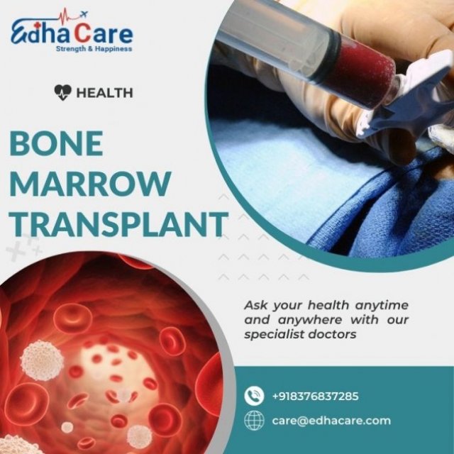 What Is The Critical Time After A Bone Marrow Transplant?