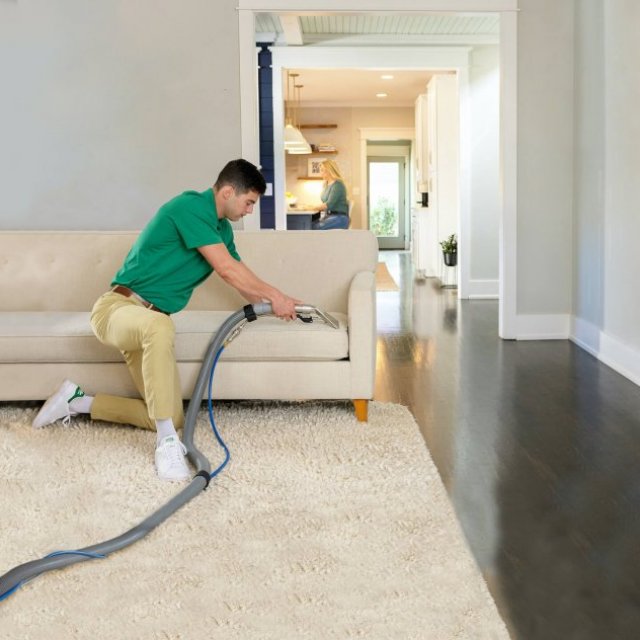 Ever Steam Carpet Cleaning LLC