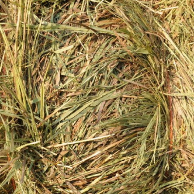 Hay Bales For Sale