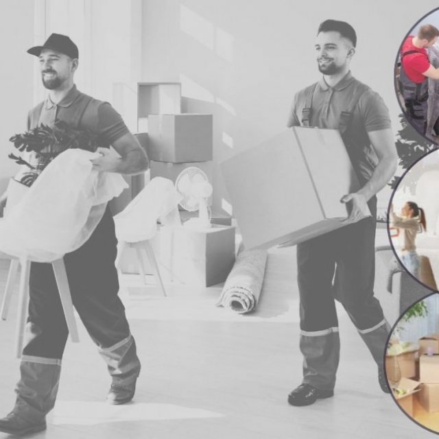 Singhania Packers and Movers