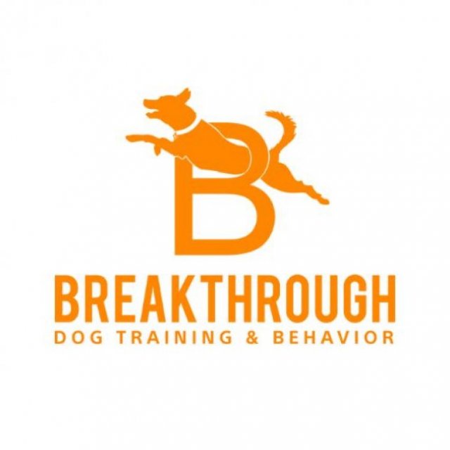 Break Through Dog Training & Behavior