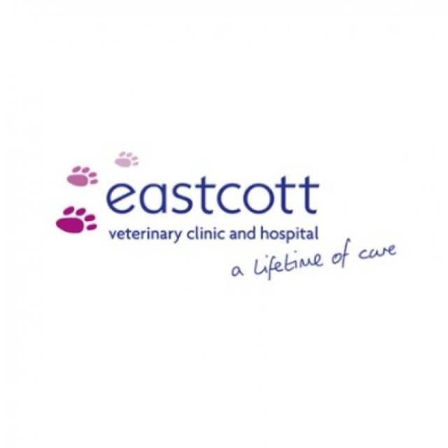 Eastcott Vets - Clive Parade Clinic Swindon