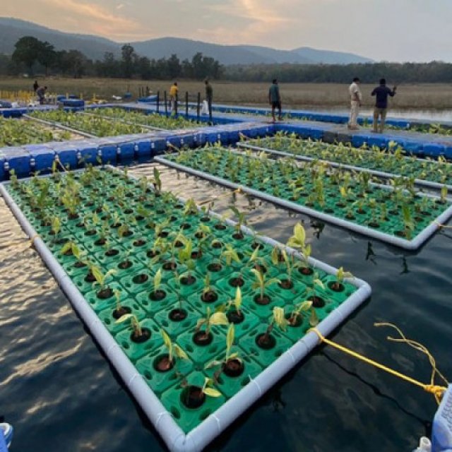 Floating Garden