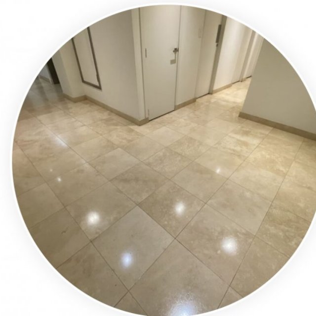 Vinyl Floor Polishing Service