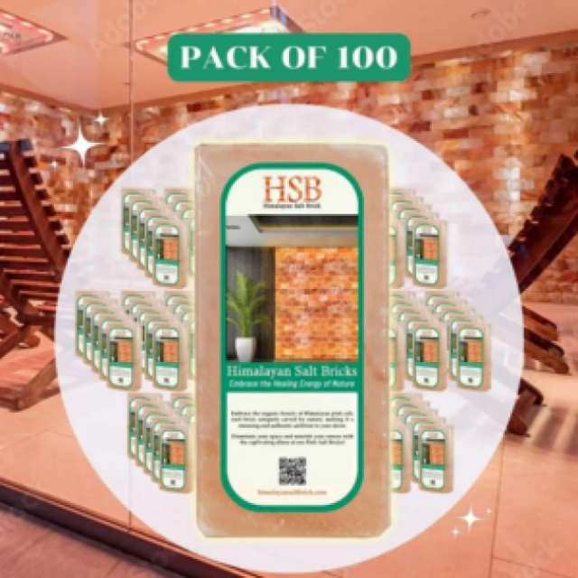 himalayan salt bricks