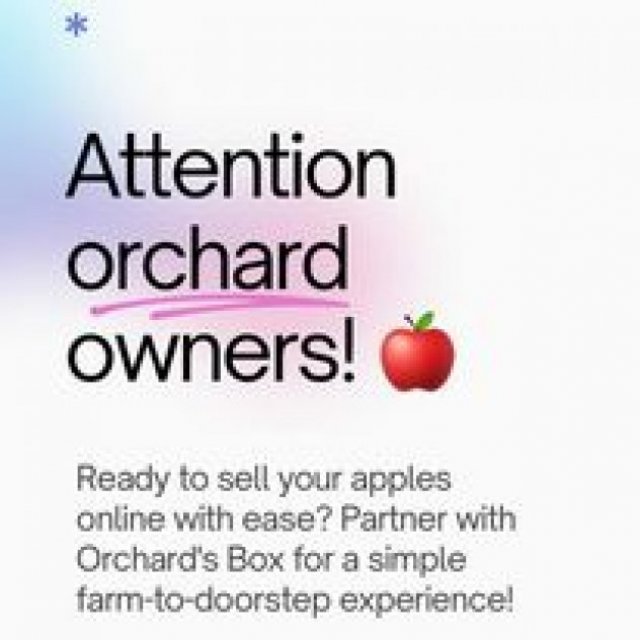 Orchards Box