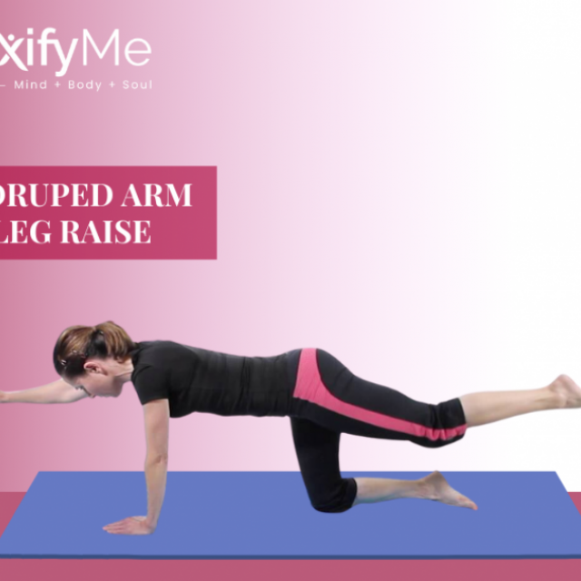 FlexifyMe- Online Yoga Classes in India | Live Virtual Yoga Sessions