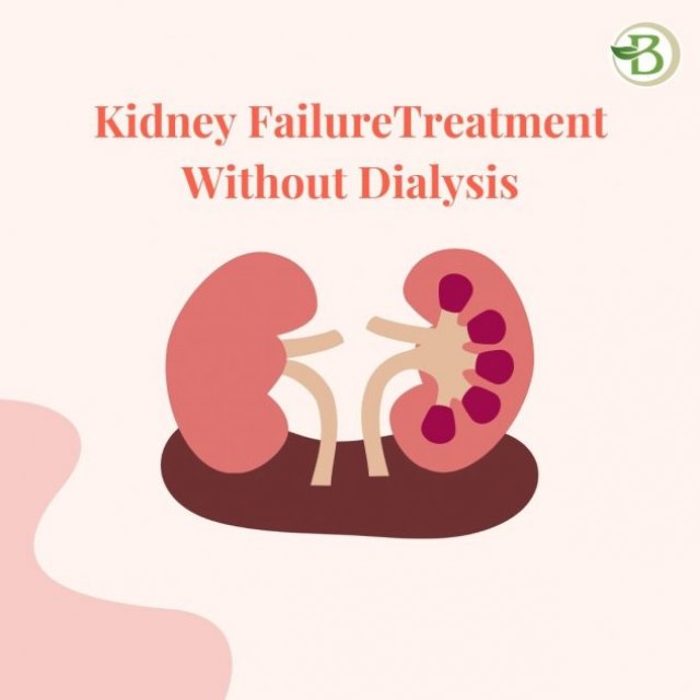 kidney failure treatment without dialysis