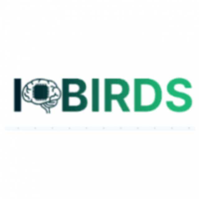 IQBIRDS