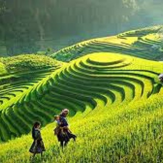 Threeland Travel: Best Vietnam Travel Agency