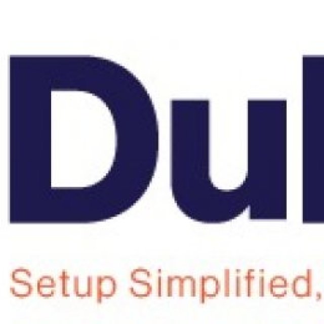 Dubiz Business setup