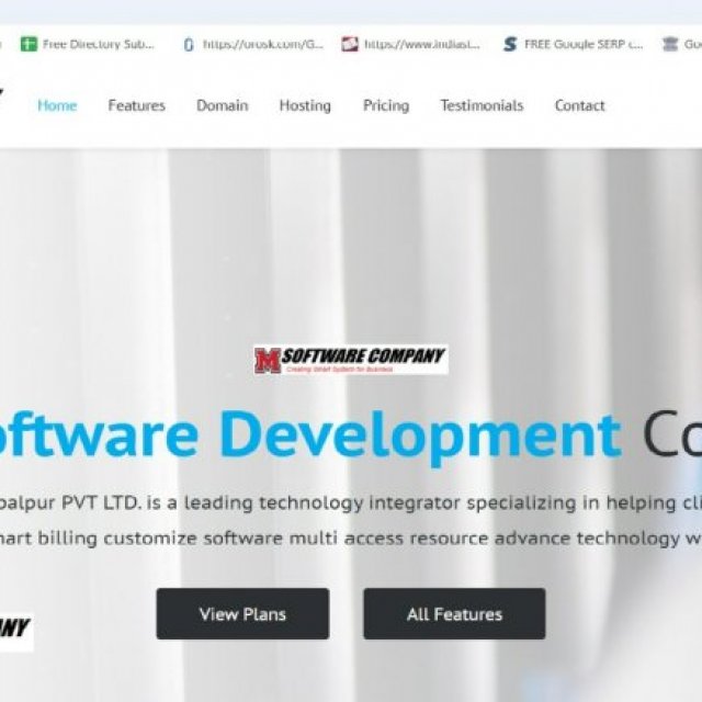 Software & website design delopment